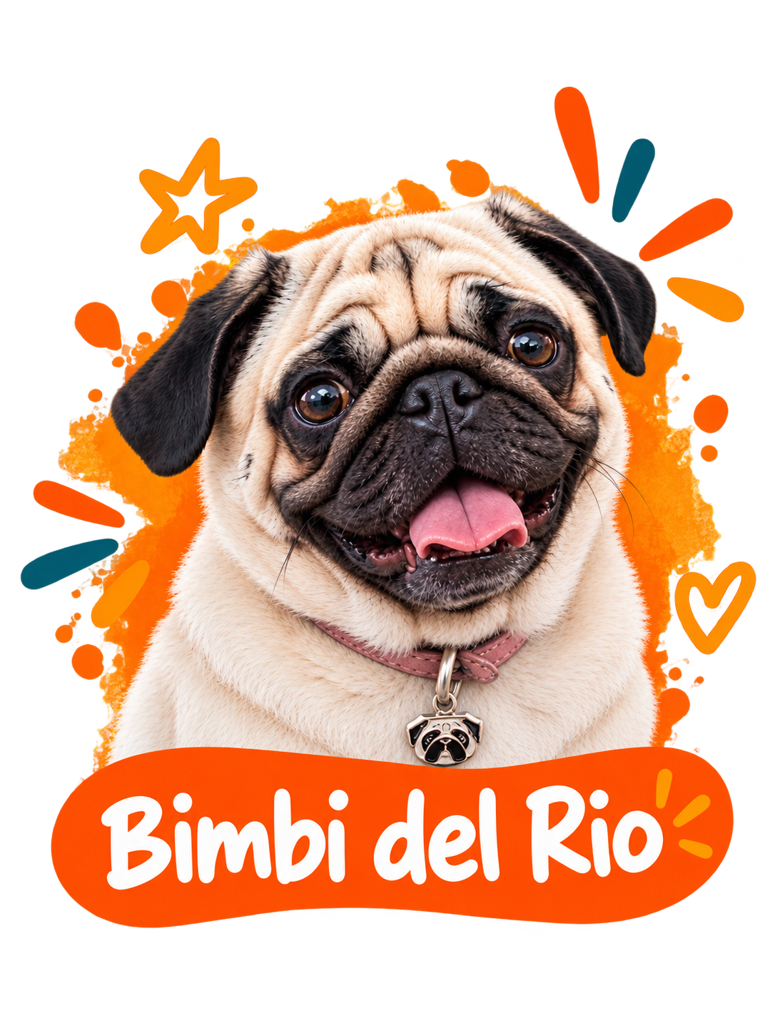 Ritratto approvato di Bimbi del Rio, con collare rosa e targhetta metallica a forma di cane